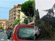 Maltempo a Ferragosto: pioggia e forte vento creano disagi a Vallecrosia (Foto) Maltempo a Ferragosto: pioggia e forte vento creano disagi a Vallecrosia (Foto)