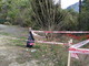 Sanremo: rifiuti di ogni genere lasciati dagli amanti del rally, la viva protesta di una lettrice Sanremo: rifiuti di ogni genere lasciati dagli amanti del rally, la viva protesta di una lettrice