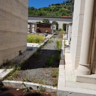 Sanremo: cimitero in Valle Armea, una lettrice segnala stato di incuria tra le tombe di famiglia (foto)