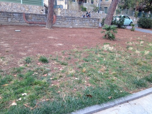 Vallecrosia: degrado nei giardini di San Rocco, alcune mamme chiedono un rapido intervento al Comune Vallecrosia: degrado nei giardini di San Rocco, alcune mamme chiedono un rapido intervento al Comune