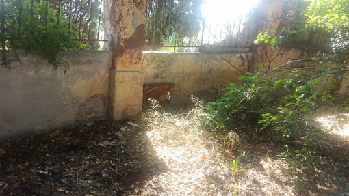 Sanremo: situazione di incuria in zona Madonna della Costa, la segnalazione con foto di una residente Sanremo: situazione di incuria in zona Madonna della Costa, la segnalazione con foto di una residente