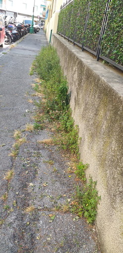 Sanremo: situazione dei marciapiedi di via Vesco, un residente ne segnala il degrado (foto) Sanremo: situazione dei marciapiedi di via Vesco, un residente ne segnala il degrado (foto)