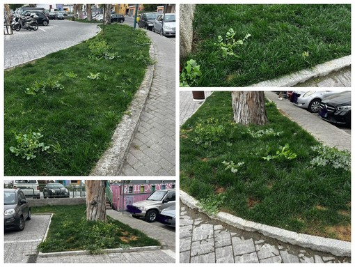 SìAmo Camporosso: "Parcheggi eliminati e aiuole nel degrado in piazza D'Armi, serve intervento immediato" (Foto)