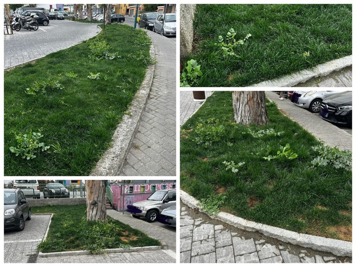 SìAmo Camporosso: "Parcheggi eliminati e aiuole nel degrado in piazza D'Armi, serve intervento immediato" (Foto)