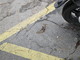 Sanremo: deiezioni canine e sporcizia al parco in via Margotti, la segnalazione con foto di una residente Sanremo: deiezioni canine e sporcizia al parco in via Margotti, la segnalazione con foto di una residente