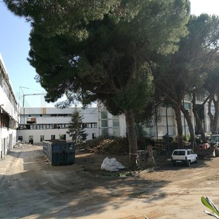 Vallecrosia: oggi l’inizio dei lavori al cantiere dell’ex Fassi, Biasi “La città aspettava un cambiamento nei fatti e non nelle parole” (Video)