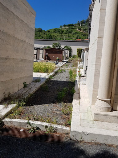 Sanremo: cimitero in Valle Armea, una lettrice segnala stato di incuria tra le tombe di famiglia (foto) Sanremo: cimitero in Valle Armea, una lettrice segnala stato di incuria tra le tombe di famiglia (foto)