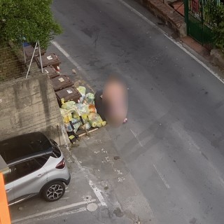 Sanremo, turisti danesi scrivono al Sindaco: "La città è troppo sporca e piena di buche" Sanremo, turisti danesi scrivono al Sindaco: "La città è troppo sporca e piena di buche"