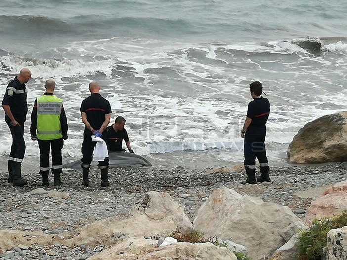 Delfino muore su una spiaggia di Mentone, numerose le richieste di soccorso per l'animale spiaggiato (FOTO e VIDEO) Delfino muore su una spiaggia di Mentone, numerose le richieste di soccorso per l'animale spiaggiato (FOTO e VIDEO)