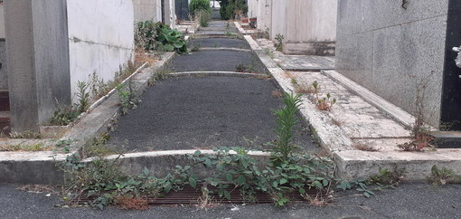 Sanremo: degrado e sporcizia al cimitero di Valle Armea, la segnalazione con foto di un letture