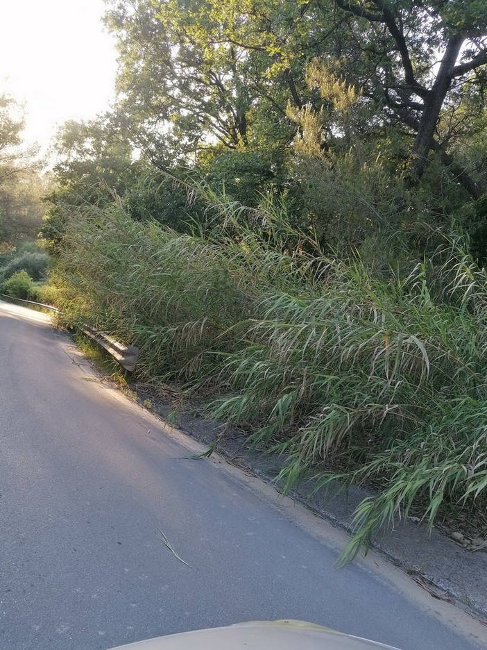 Sanremo, la denuncia del Sinappe: "La strada che porta al carcere di valle Armea è a forte rischio" (foto)
