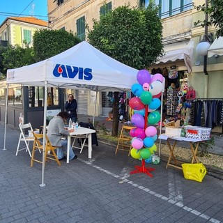 Diano Marina: sabato prossimo in piazza del Comune la 'Giornata della donazione' con Avis Imperia