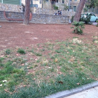 Vallecrosia: degrado nei giardini di San Rocco, alcune mamme chiedono un rapido intervento al Comune Vallecrosia: degrado nei giardini di San Rocco, alcune mamme chiedono un rapido intervento al Comune