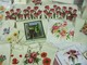 Sanremo: lunedì 11 ottobre riapre il laboratorio di San Rocco Sanremo: lunedì 11 ottobre riapre il laboratorio di San Rocco