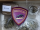 Imperia: coppia trovata con la droga in auto ed a casa, due giovani denunciati dalla Polizia Imperia: coppia trovata con la droga in auto ed a casa, due giovani denunciati dalla Polizia