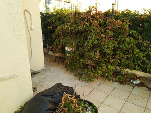 Bordighera, la denuncia di un nostro lettore: "La stazione per l'ennesima volta nel degrado e nella sporcizia" (Foto) Bordighera, la denuncia di un nostro lettore: "La stazione per l'ennesima volta nel degrado e nella sporcizia" (Foto)