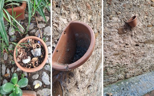 Ventimiglia: atti vandalici alle piante, danneggiati i vasi nel vicolo di un'anziana signora e della sua vicina (Foto) Ventimiglia: atti vandalici alle piante, danneggiati i vasi nel vicolo di un'anziana signora e della sua vicina (Foto)