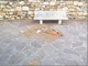 Imperia: degrado e incuria ai giardini, nuova mail con foto del nostro lettore Fabio Imperia: degrado e incuria ai giardini, nuova mail con foto del nostro lettore Fabio