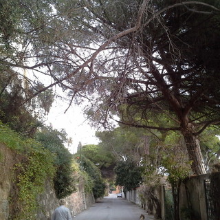 Sanremo: illuminazione assente dal 2019 in zona Tiro a Volo, la segnalazione di una residente