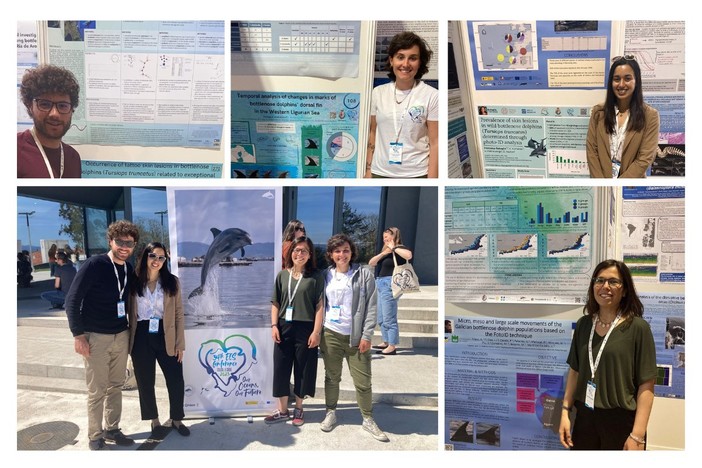 Missione in Spagna per il team di biologi e ricercatori dell’Associazione Delfini del Ponente Missione in Spagna per il team di biologi e ricercatori dell’Associazione Delfini del Ponente