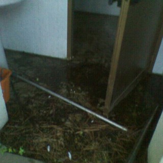 Camporosso: bagni pubblici nel degrado, la denuncia (con foto) di un gruppo di cittadini