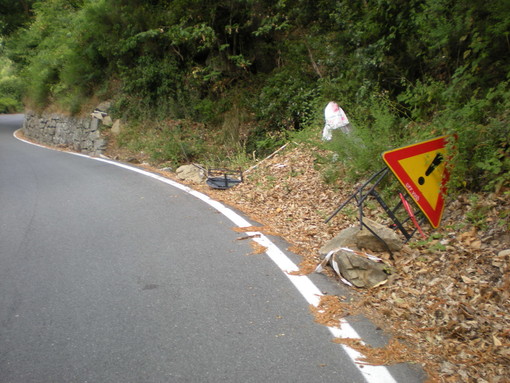 Sanremo: strada per san Romolo invasa dai rami, la segnalazione di un lettore