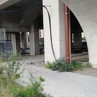 Imperia: degrado nel parcheggio della stazione ferroviaria, la denuncia di un nostro lettore "Situazione disgustosa e incivile" (foto)