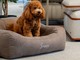 Sanremo, weekend “Cuccioloso&Family” da Divani&Divani: attività gratuite per i tuoi animali, ma affrettati a prenotare! Sanremo, weekend “Cuccioloso&Family” da Divani&Divani: attività gratuite per i tuoi animali, ma affrettati a prenotare!