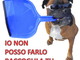 Sanremo: per il decoro urbano, obbligo di raccolta delle deiezioni canine. La replica di A.G. ad Alberto