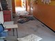 Sanremo: asilo di frazione San Bartolomeo vandalizzato, Futura Sanremo “E’ stato un atto gravissimo”