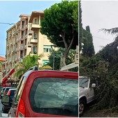 Maltempo a Ferragosto: pioggia e forte vento creano disagi a Vallecrosia (Foto) Maltempo a Ferragosto: pioggia e forte vento creano disagi a Vallecrosia (Foto)