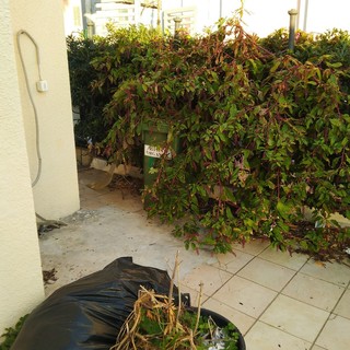 Bordighera, la denuncia di un nostro lettore: "La stazione per l'ennesima volta nel degrado e nella sporcizia" (Foto)