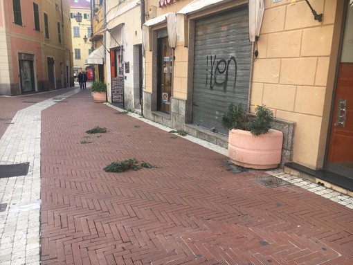 Imperia: già protagonista di un momento di tensione, afgano dà in escandescenze in via San Giovanni (foto) Imperia: già protagonista di un momento di tensione, afgano dà in escandescenze in via San Giovanni (foto)