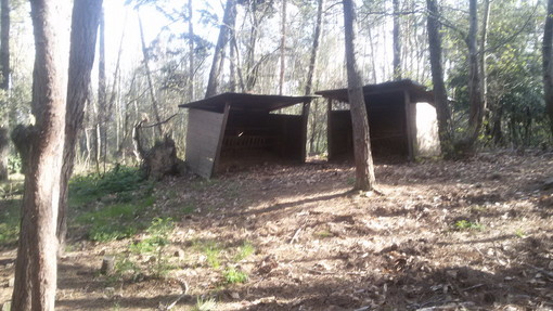 Sanremo: degrado nella zona faunistica di San Romolo, lettrice "In questi anni solo chiacchiere dagli amministratori"