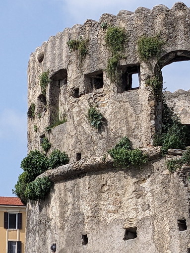Sanremo: giardino ed erba incolta sulla Torre Saracena, la segnalazione con foto di un cittadino