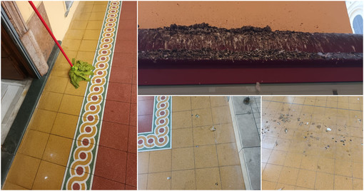 Imperia, in via Bonfante il grido di dolore dei commercianti per la scarsa pulizia dei portici (foto) Imperia, in via Bonfante il grido di dolore dei commercianti per la scarsa pulizia dei portici (foto)