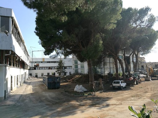 Vallecrosia: oggi l’inizio dei lavori al cantiere dell’ex Fassi, Biasi “La città aspettava un cambiamento nei fatti e non nelle parole” (Video)