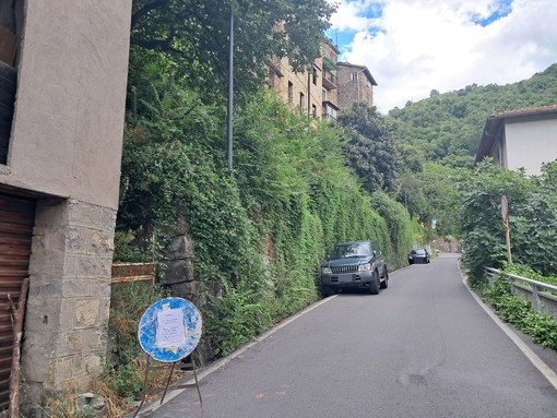 Castelvittorio, lavori di sfalcio: scatta il divieto di sosta (Foto)
