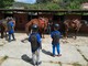 Taggia: dopo la raccolta fondi, giornata a cavallo per i bambini della Associazione Diabete Giovanile Ponente Ligure Taggia: dopo la raccolta fondi, giornata a cavallo per i bambini della Associazione Diabete Giovanile Ponente Ligure