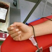 Emergenza plasma, l’appello della Fidas di Imperia: "Servono donatori" Emergenza plasma, l’appello della Fidas di Imperia: "Servono donatori"