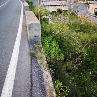 Sanremo: mancanza di protezione a lato della strada in valle Armea, la segnalazione con foto di una lettrice