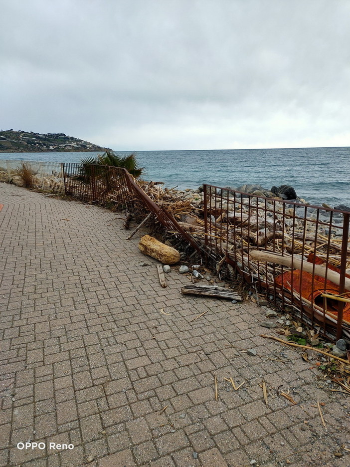 Sanremo: degrado a San Martino nei pressi dell'area cani, le segnalazione di un residente