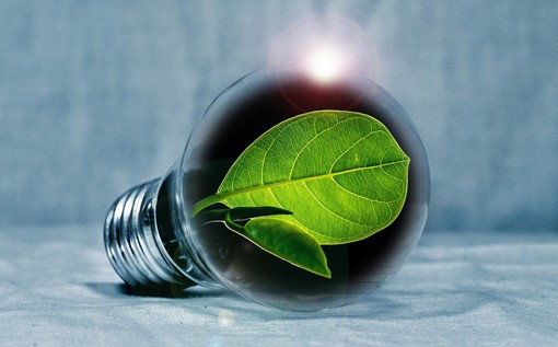 Energia elettrica: sempre più fornitori propongono il green