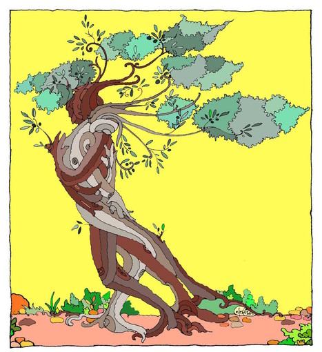 Badalucco: confermata la presenza di Lella Costa per l'evento 'Bistrot dell'Ulivo'