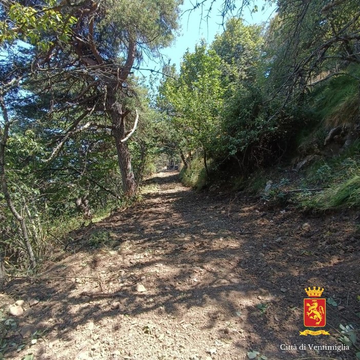 Ventimiglia, da Villatella al monte Grammondo: quasi ultimati i lavori di manutenzione dell’ex strada militare (Foto) Ventimiglia, da Villatella al monte Grammondo: quasi ultimati i lavori di manutenzione dell’ex strada militare (Foto)