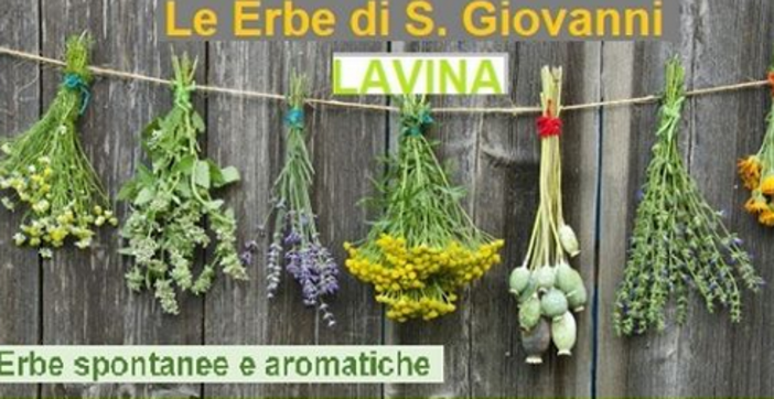 Rezzo: oggi la guida alla scoperta delle erbe spontanee e aromatiche di Lavina Rezzo: oggi la guida alla scoperta delle erbe spontanee e aromatiche di Lavina