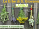 Rezzo: oggi la guida alla scoperta delle erbe spontanee e aromatiche di Lavina Rezzo: oggi la guida alla scoperta delle erbe spontanee e aromatiche di Lavina