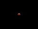 L'immagine di un nostro lettore dell'eclissi di luna di questa mattina: "Una vera bellezza!" L'immagine di un nostro lettore dell'eclissi di luna di questa mattina: "Una vera bellezza!"