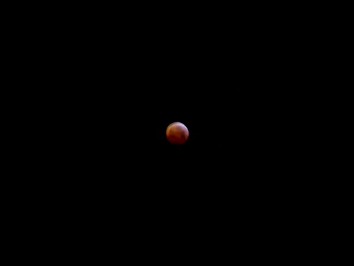 L'immagine di un nostro lettore dell'eclissi di luna di questa mattina: "Una vera bellezza!" L'immagine di un nostro lettore dell'eclissi di luna di questa mattina: "Una vera bellezza!"