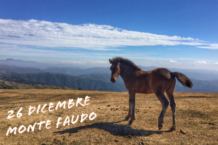 Nel giorno di Santo Stefano una escursione sul Monte Faudo con Ponente Experience Nel giorno di Santo Stefano una escursione sul Monte Faudo con Ponente Experience
